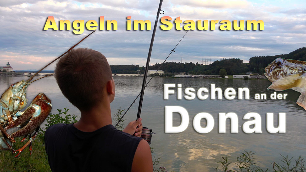 Fischen an der Donau - Angeln im Stauraum mit verschiedenen Methoden und Ködern