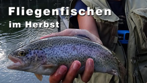 Fliegenfischen im Herbst