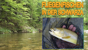 Fliegenfischen in der Schwarza