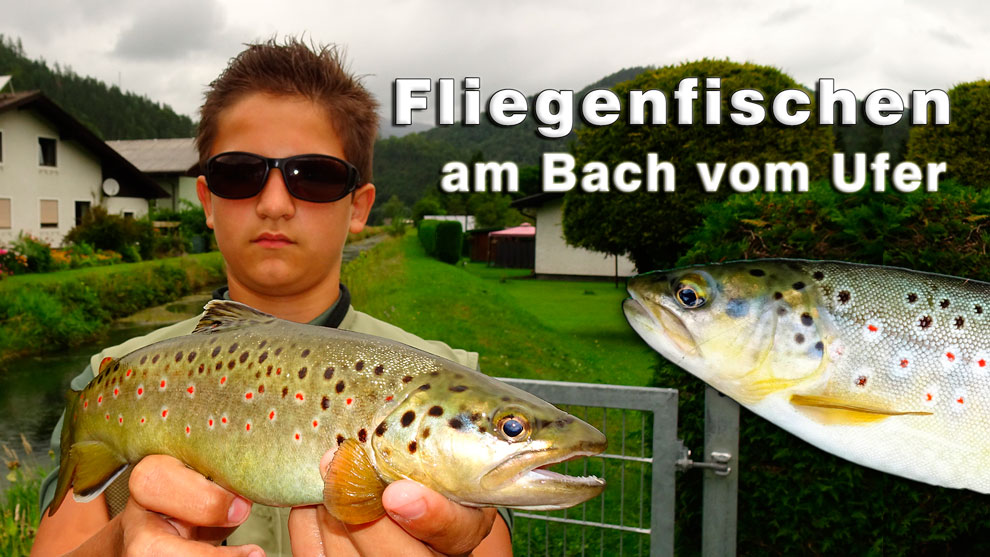  Fliegenfischen an der Unrecht Traisen