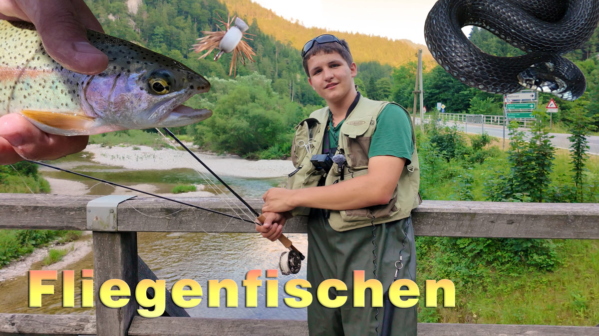 Fliegenfischen im Sommer am Bach