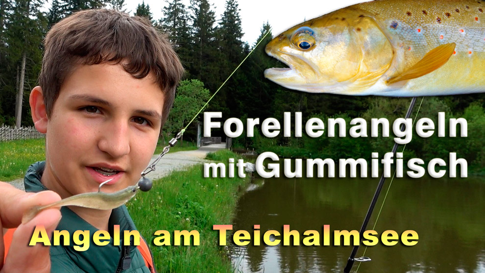 Forellenangeln mit Gummifisch - Angeln auf Forellen am Teichalmsee