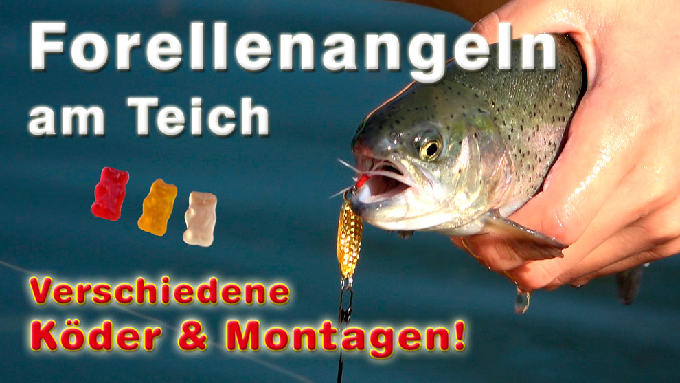 Forellenangeln am Teich - Angeln auf Forelle