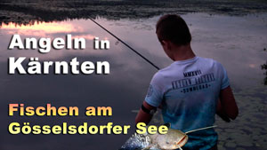 Fischen am Gösselsdorfer See - Angeln in Kärnten
