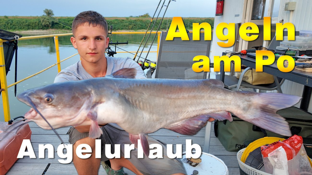 Angeln am Po im Sommer