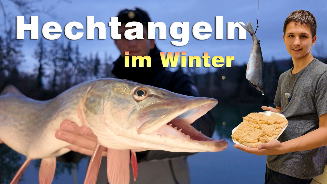 Hechtangeln im Winter