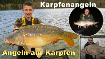 Karpfenangeln - Angeln auf Karpfen