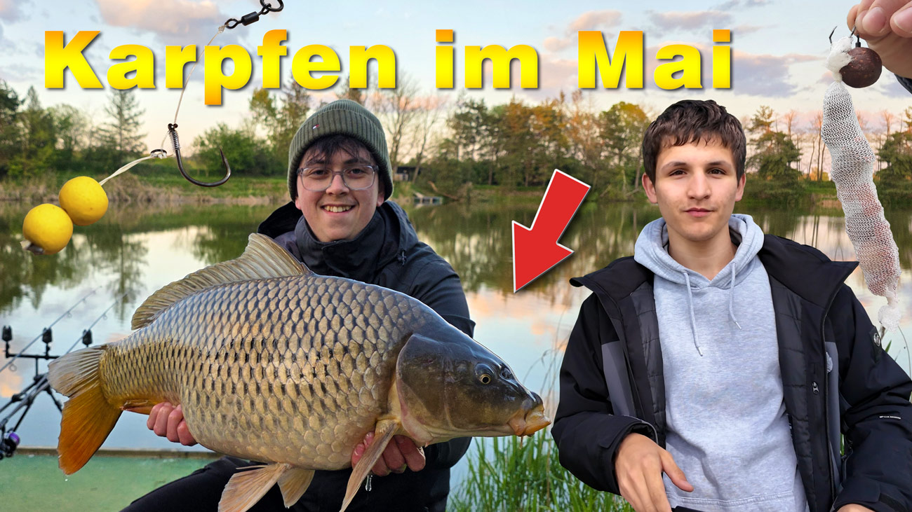 Karpfenangeln - Tipps und Montagen