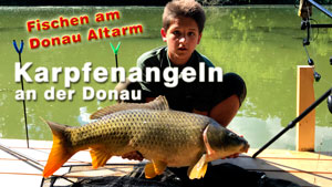 Karpfenangeln an der Donau