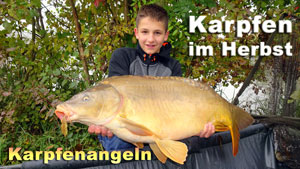 Karpfen im Herbst