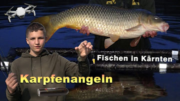 Karpfenangeln - Fischen in Kärnten