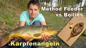 Karpfenangeln - Method Feeder vs. Boilies