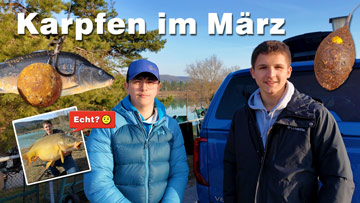 Karpfen im März
