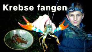 Krebse fangen