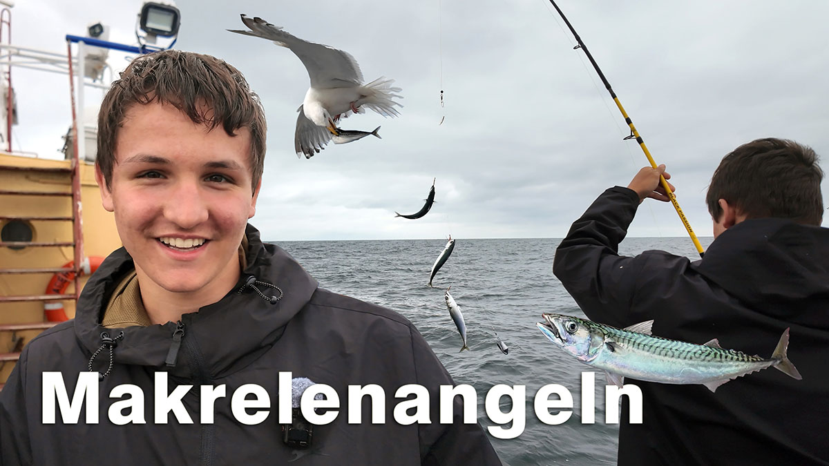 Angeln auf Makrelen mit Paternoster Montage vom Kutter in den Niederlanden
