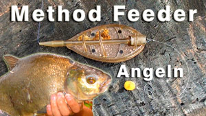 Method Feeder Angeln