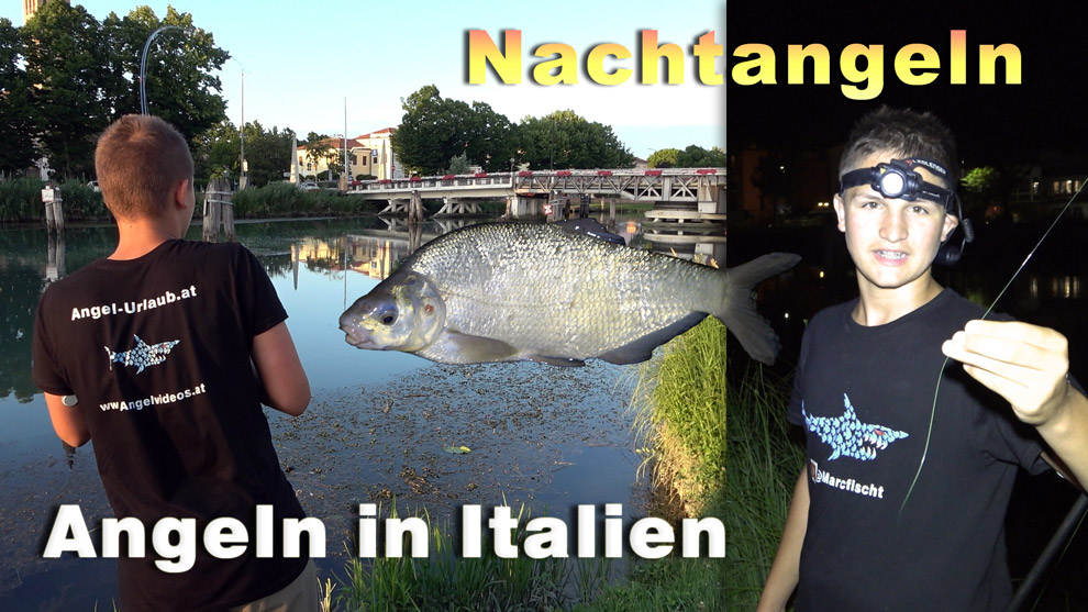 Angeln auf Wels / Waller und andere Fische in Italien