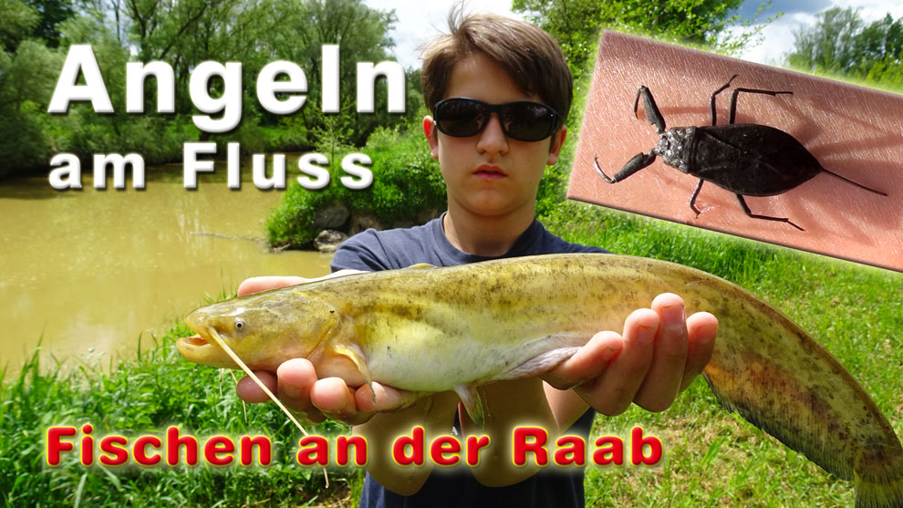 Angeln an der Raab