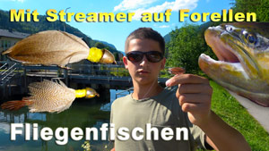 Fliegenfischen mit Streamer