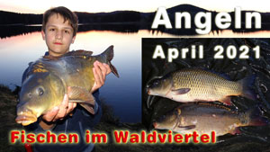 Fischen im Waldviertel