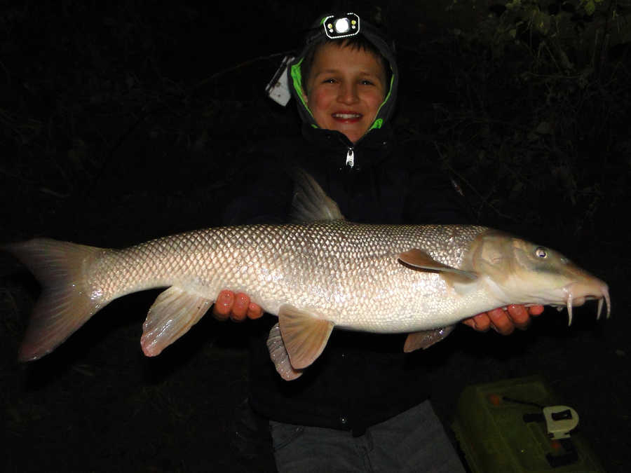 Barbe im Winter mit 62 cm aus der Donau