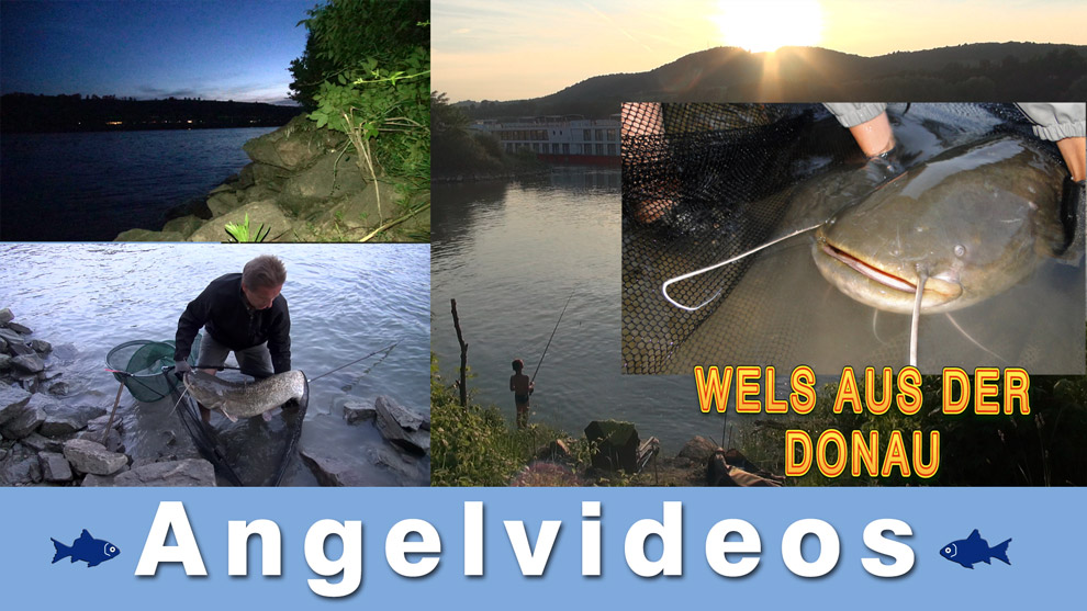 Angelvideos