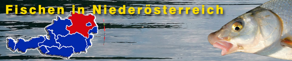 Fischen in Niederösterreich