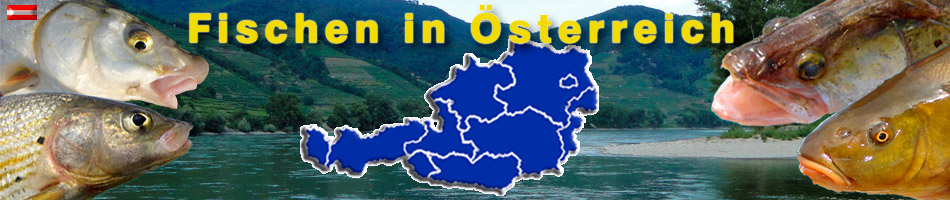 Fischen in Österreich