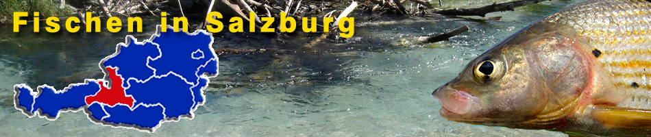 Fischen in Salzburg