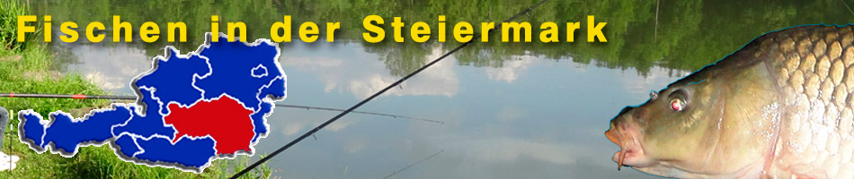 Fischen in der Steiermark